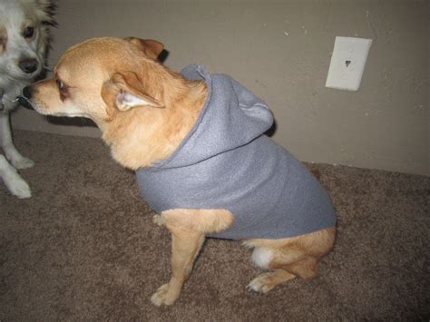 Dog Fleece Hoodie · How To Make A Dog Outfit · Sewing on Cut Out + Keep ...