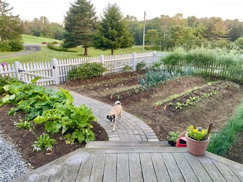 fence garden vegetable 10