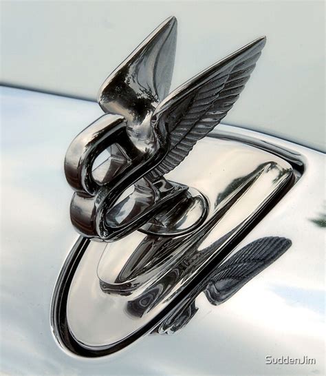 "Bentley Mascot" by SuddenJim | Redbubble