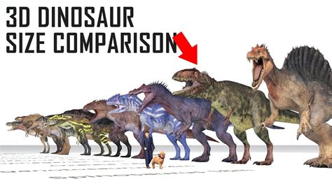 Carnivorous Dinosaur Size Comparison