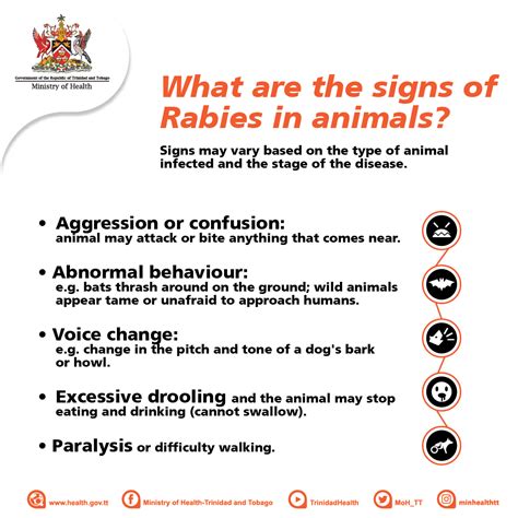 signs of rabies in animals | Ministry of Agriculture, Land and Fisheries