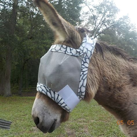 Mini Donkey Fly Mask Etsy