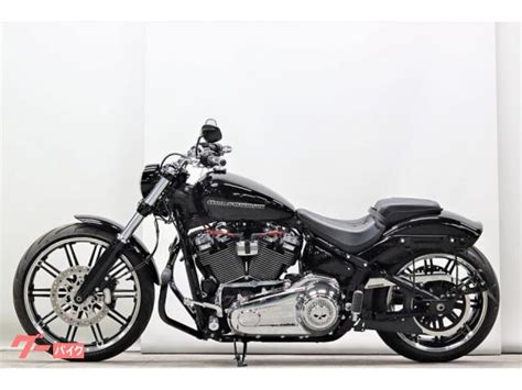 HARLEYDAVIDSON FXBRS ソフテイル ブレイクアウト114 COBRAスリップオンマフラー ARLEN NESSエアクリ