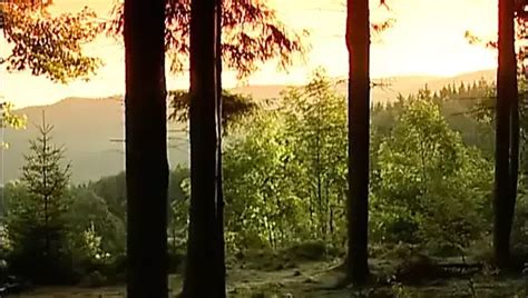 Mens Room Ozark Mtn Exit Free Big Gay Cock Anal Porn Video Xhamster