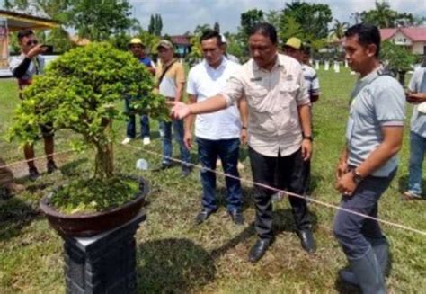 Camat Buay Madang Timur Hadiri Launching Ppbi Dan Potong Pita Tanda