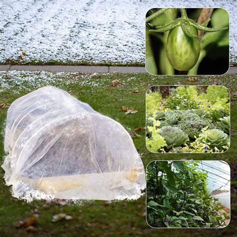 Plant Covers For The Winter At Tammy Villarreal Blog