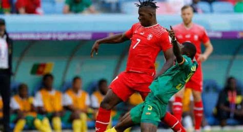 Switzerland Vs Cameroon Live Stream News Latest Switzerland Vs