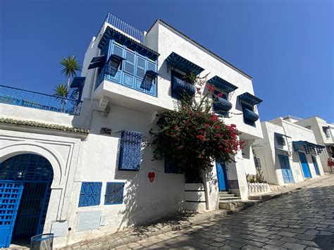 See the Architectural Marvels of Sidi Bou Said - live online tour from