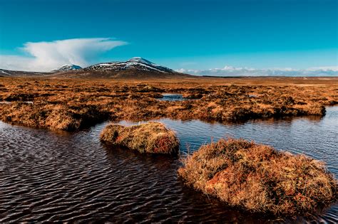 Satellite Based Method Measures Carbon In Peat Bogs Mirage News