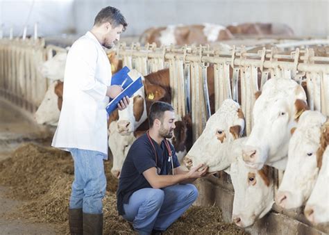 O que é um Zootecnista e qual a sua importância?