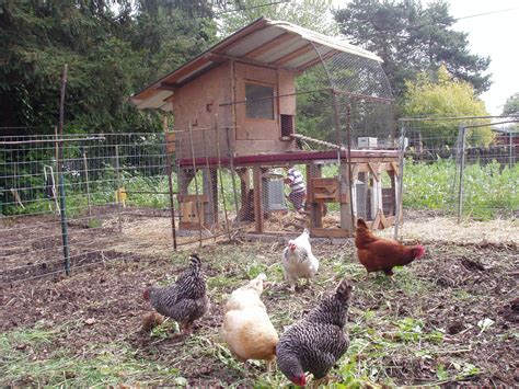 Brilliant 4 Paddock Chicken Garden Rotation Coop