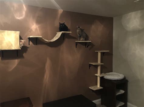 Cat Tree Climber Shelves 5 Pcs Wood Wall Mounted Cat Climber Set