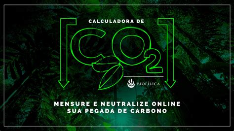 Calculadora De Carbono Compre Créditos De Carbono Online