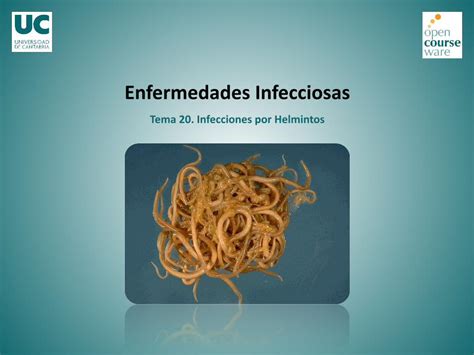 Pdf Enfermedades Por Helmintos Dokumentips