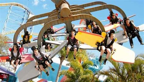 Best Time To Visit Queensland Theme Parks - Theme Image