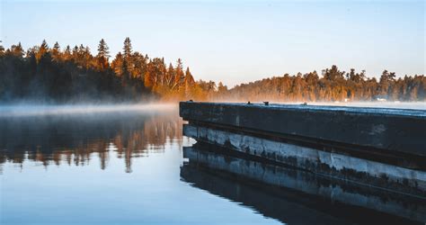 Reflection of Trees in Lake · Free Stock Photo