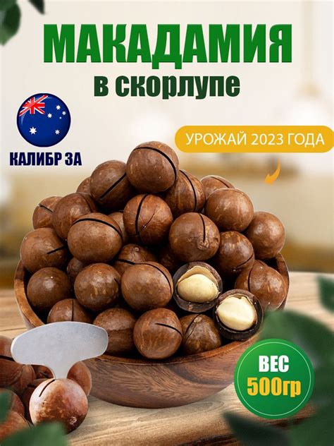 Макадамия орех в скорлупе 500гр - купить с доставкой по выгодным ценам ...