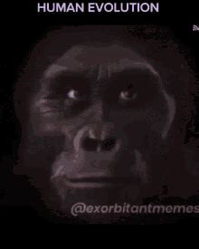 Evolution GIFs | Tenor