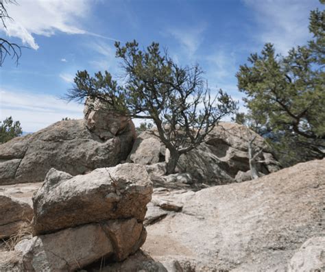 Buena Vista Colorado Trails! - Crazy About Colorado