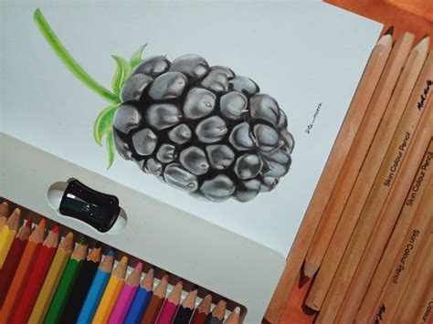 Realistic fruit drawing | Fruits drawing, Fruit, Colour