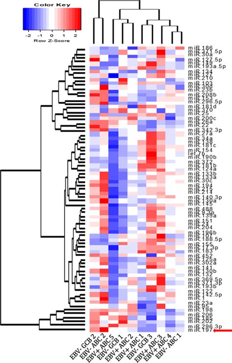 Heatmap With Dendrograms Generated By Hierarchical Clustering In