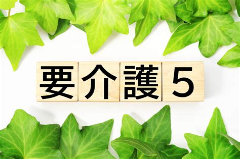 要介護5とはどんな状態？利用できるサービスや費用などについて解説