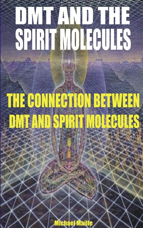 DMT AND THE SPIRIT MOLECULES: THE CONNECTION BETWEEN DMT AND SPIRIT