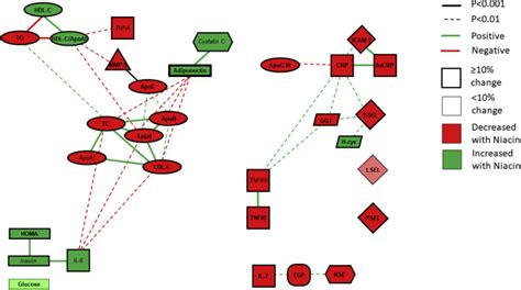 Niacin Action In The Atherogenic Mixed Dyslipidemia Of Metabolic