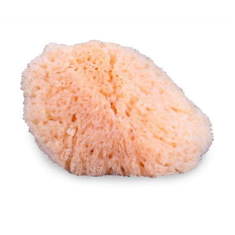 Natural Sea Sponge - M. Cramer & Associates, LLC