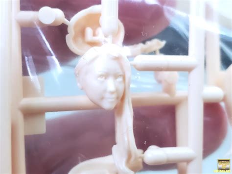 GSC組裝模型開箱 PLAMAX Naked Angel 1 20 北條麻妃 MAKI HOJO 北条麻妃 ほうじょうまき vertony s Dungeons