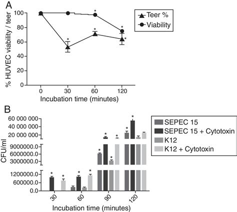 Scielo Brasil Cytotoxic Factor Secreted By Escherichia Coli Associated With Sepsis