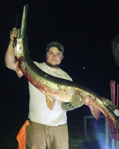 Longnose Gar Bowfishing Association Of America