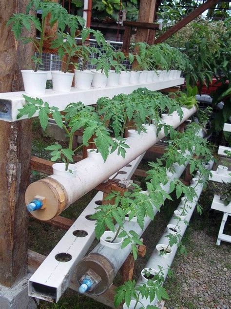 How To Make Home Garden And Fresh Vegetables By Pvc Pipe Engineering