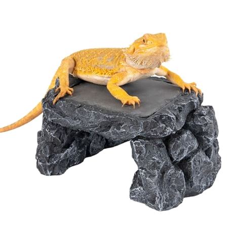 I Tested The Best Extra Large Basking Platform For My Bearded Dragon