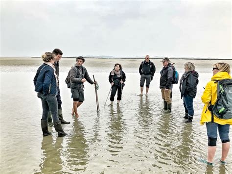 La Baie De Somme En Famille Que Voir Et Que Faire