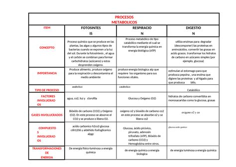 Cuadro Procesos Metab Licos Llenar Ok Procesos Metabolicos Item