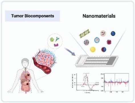 Advances In Functionalized Nanomaterialincorporated Biosensing