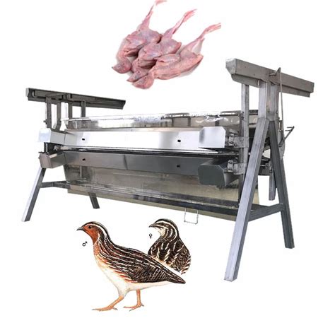 Quail Defeathering And Plucking Slaughter Line Equipment Leading The