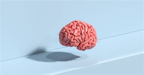 Human Brain Wrapped In Shrink Wrap As A Plastic Waste And Medical