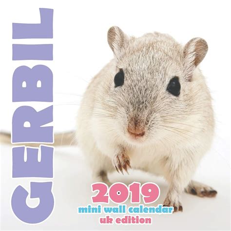 Gerbil Color Chart: A Visual Reference of Charts | Chart Master