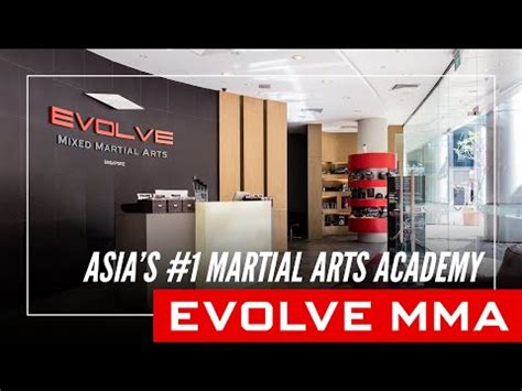 What Is Evolve MMA Unveiling The Ultimate Martial Arts Experience