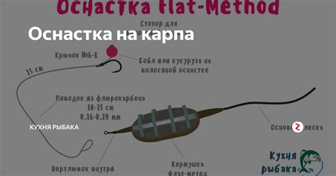 Карповые спиннинги: как выбрать. Правила ловли карпа на спиннинг