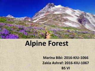 Alpine forest | PPT