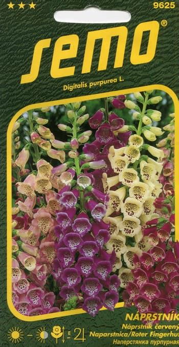 Foxglove Excelsior Seeds