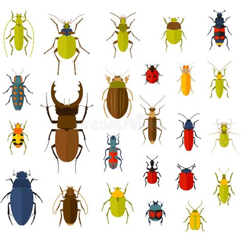 Sistema Del Plano De La Silueta Del Negro Del Icono Del Insecto Aislado