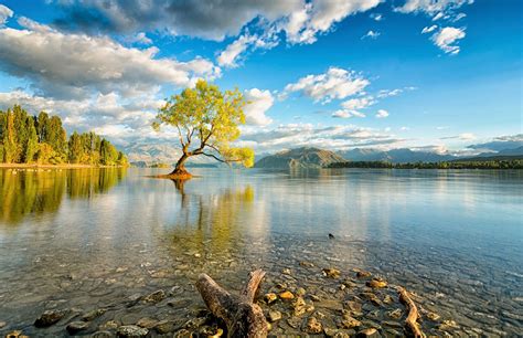 Wallpaper Sunlight Trees Landscape Sea Lake Nature Shore