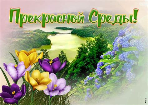 krasivaya otkrytka  sredoy otkrytki onlayn