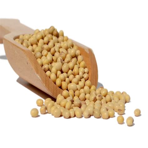 Sprouting And Food Grade Yellow Soybeans Top Quality Dried Soya Beans