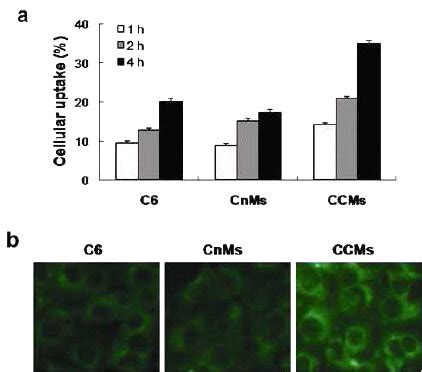 A Quantitative Analysis Of Cellular Uptake Of C6 CnMs And CCMs After