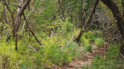 Christian Point Trail – Florida Hikes